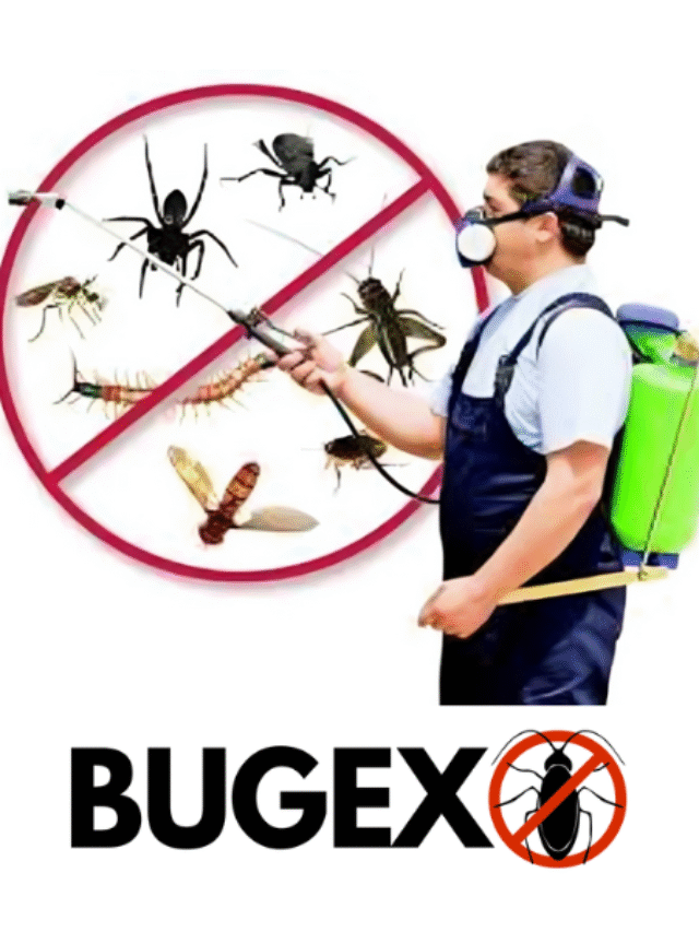 #1 Pest Control Service